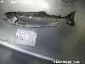 ������ޥ�