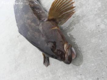 �����ʥ�