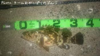 �����Υ���Х�