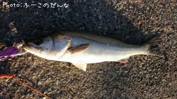 �����Х�