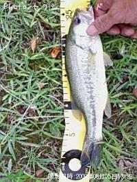 �֥�å��Х�