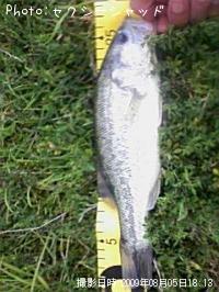 �֥�å��Х�