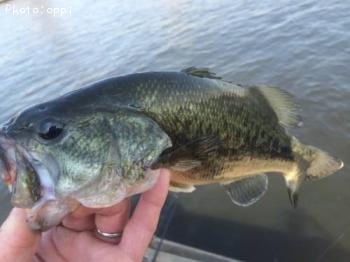 ¥Ö¥é¥Ã¥¯¥Ð¥¹