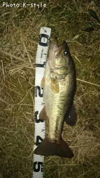 �֥�å��Х���