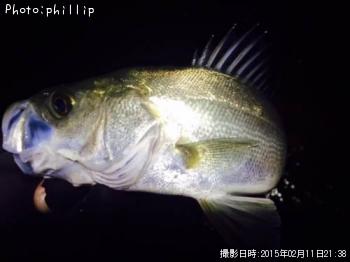 �����Х�