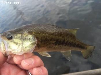 �֥�å��Х�