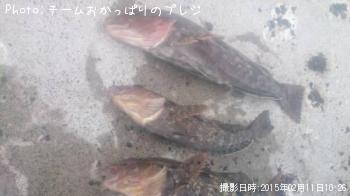 �����ʥ�