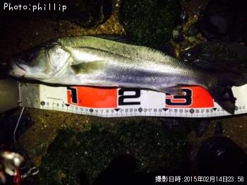 �����Х�