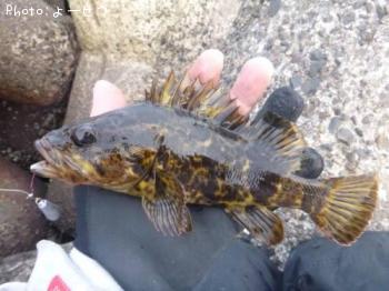 �����Υ���Х�