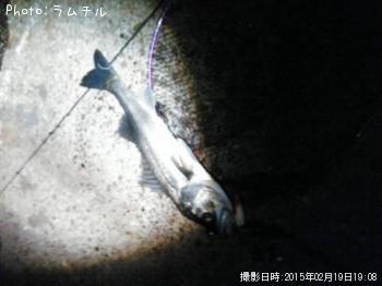 �����Х�