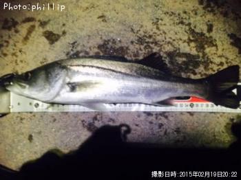 �����Х�