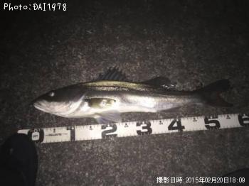 �����Х�