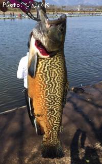 ¥¿¥¤¥¬¡¼¥È¥é¥¦¥È