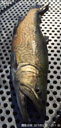 ¥¿¥¤¥¬¡¼¥È¥é¥¦¥È