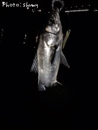 �����Х�