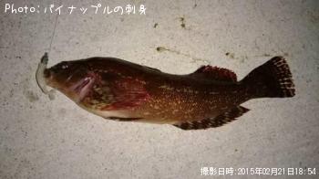 �����ʥ�