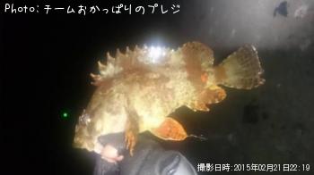 ¥è¥í¥¤¥á¥Ð¥ë