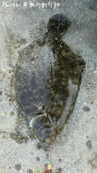 �ޥ����쥤