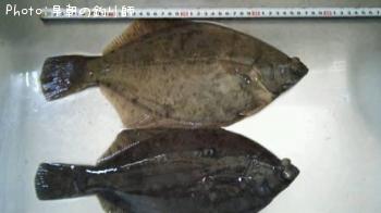 �ޥ����쥤