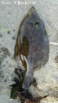 ¥Þ¥³¥«¥ì¥¤