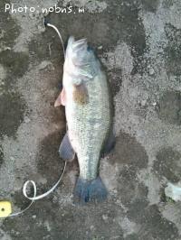 �֥�å��Х�