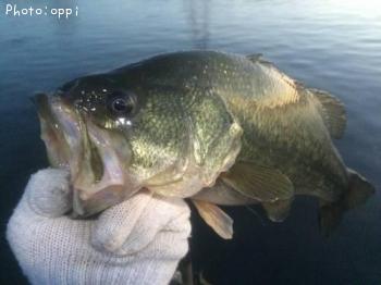 �֥�å��Х�