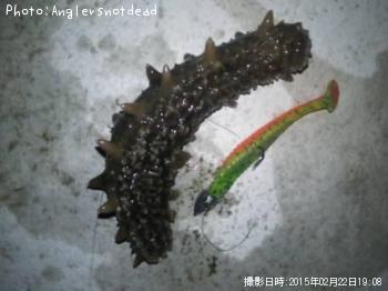 �Σ��ͣ��ˣϡ�����