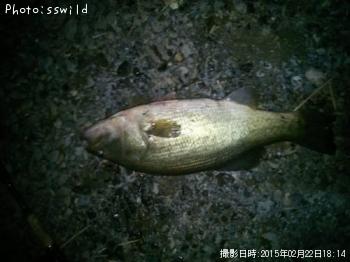 �֥�å��Х�