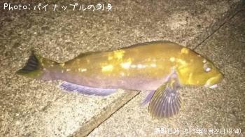 �����ʥ�