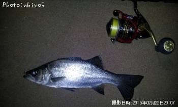 �ҥ饻����