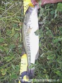 �֥�å��Х�