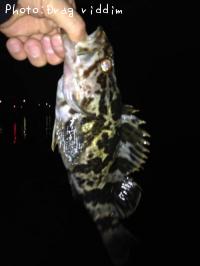 �����Υ���Х�