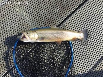 ¥¿¥¤¥¬¡¼¥È¥é¥¦¥È