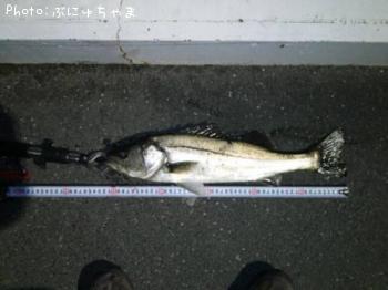 �����Х�