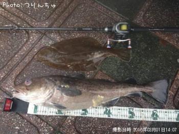 ¥Þ¥À¥é¤È¥¤¥·¥¬¥ì¥¤