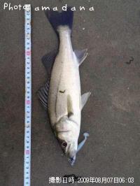 �����Х�