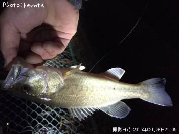 ¥Ö¥é¥Ã¥¯¥Ð¥¹