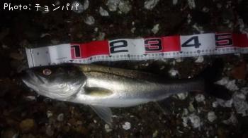 �����Х�