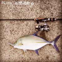 �����ߥ���