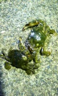 �勵�ꥬ�ˡ����ʡ��ء���