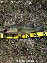 ¥Ö¥é¥Ã¥¯¥Ð¥¹