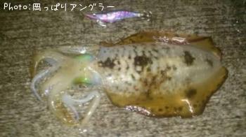 �����ꥤ��