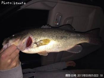 �֥�å��Х�