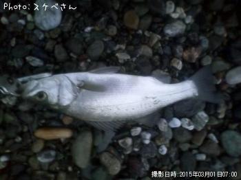 �ҥ饹����