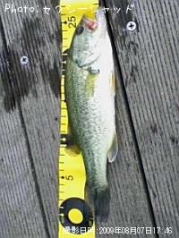 �֥�å��Х�