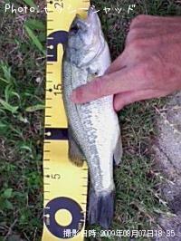 �֥�å��Х�