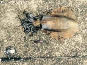 �����ꥤ��