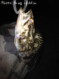 ¥¿¥±¥Î¥³¥á¥Ð¥ë