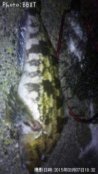 �����ʥ�