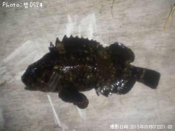 ��饽��